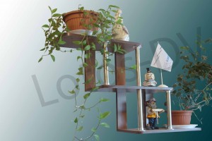 ����� "������" infrus.ru